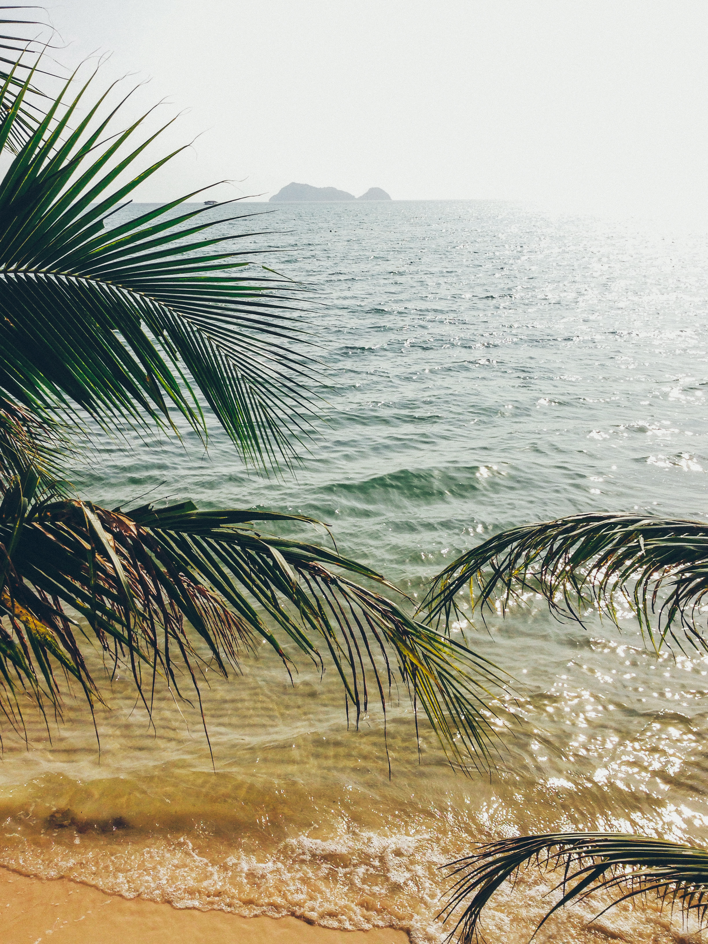 Palm trees frame a sunny beach, perfect for a destination wedding, with gentle waves and distant islands.