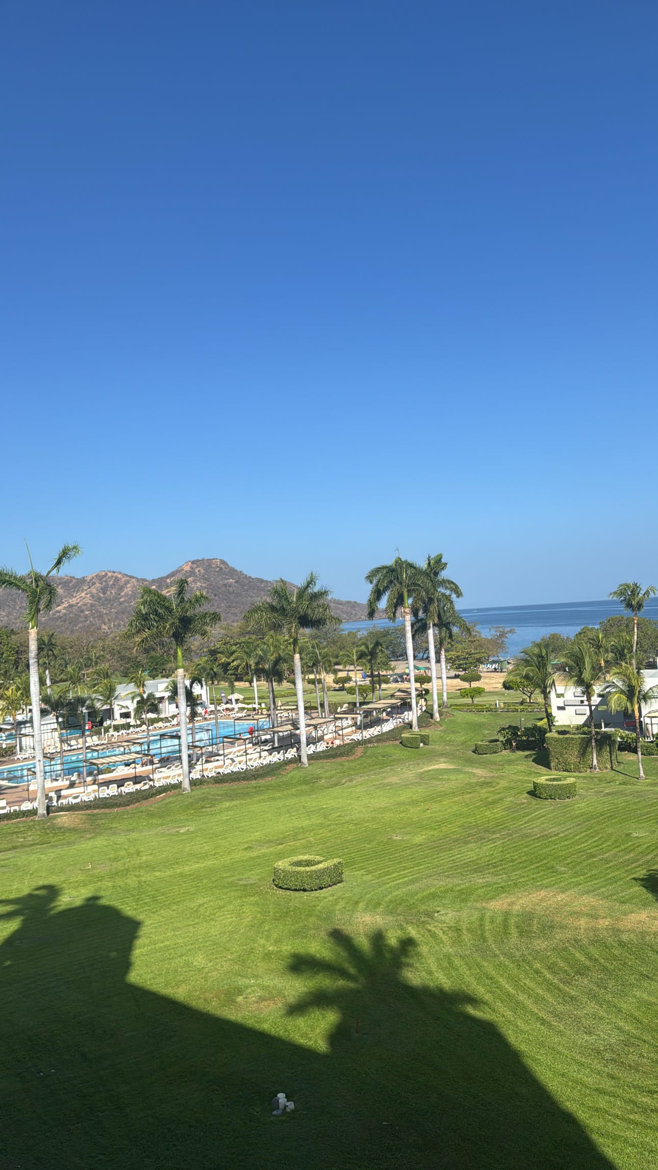 Palm trees, green lawn, mountains, and pool under a clear blue sky set a perfect destination wedding scene.