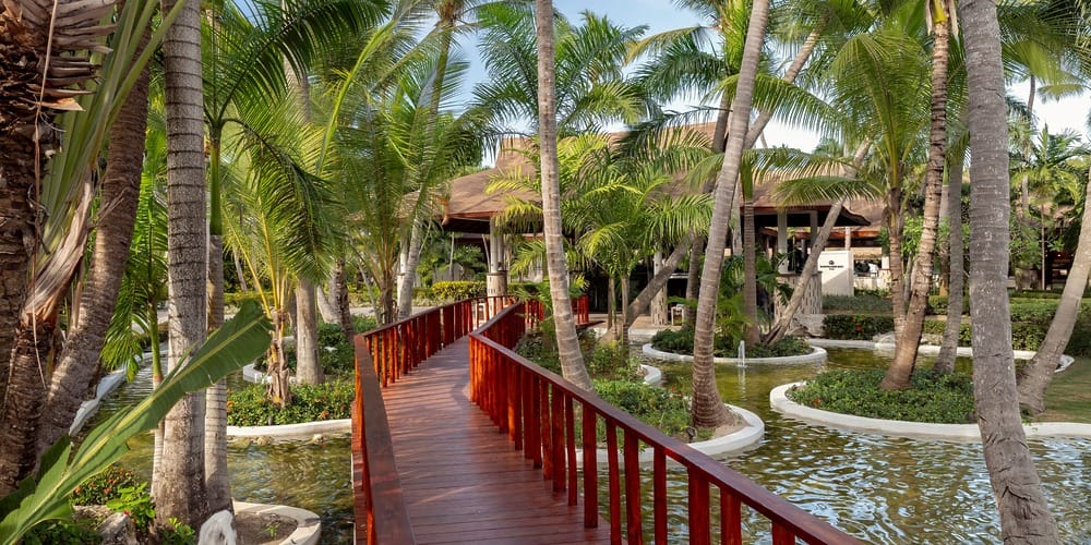 A wooden bridge over water leads to a building, perfect for a destination wedding amid palms and greenery.