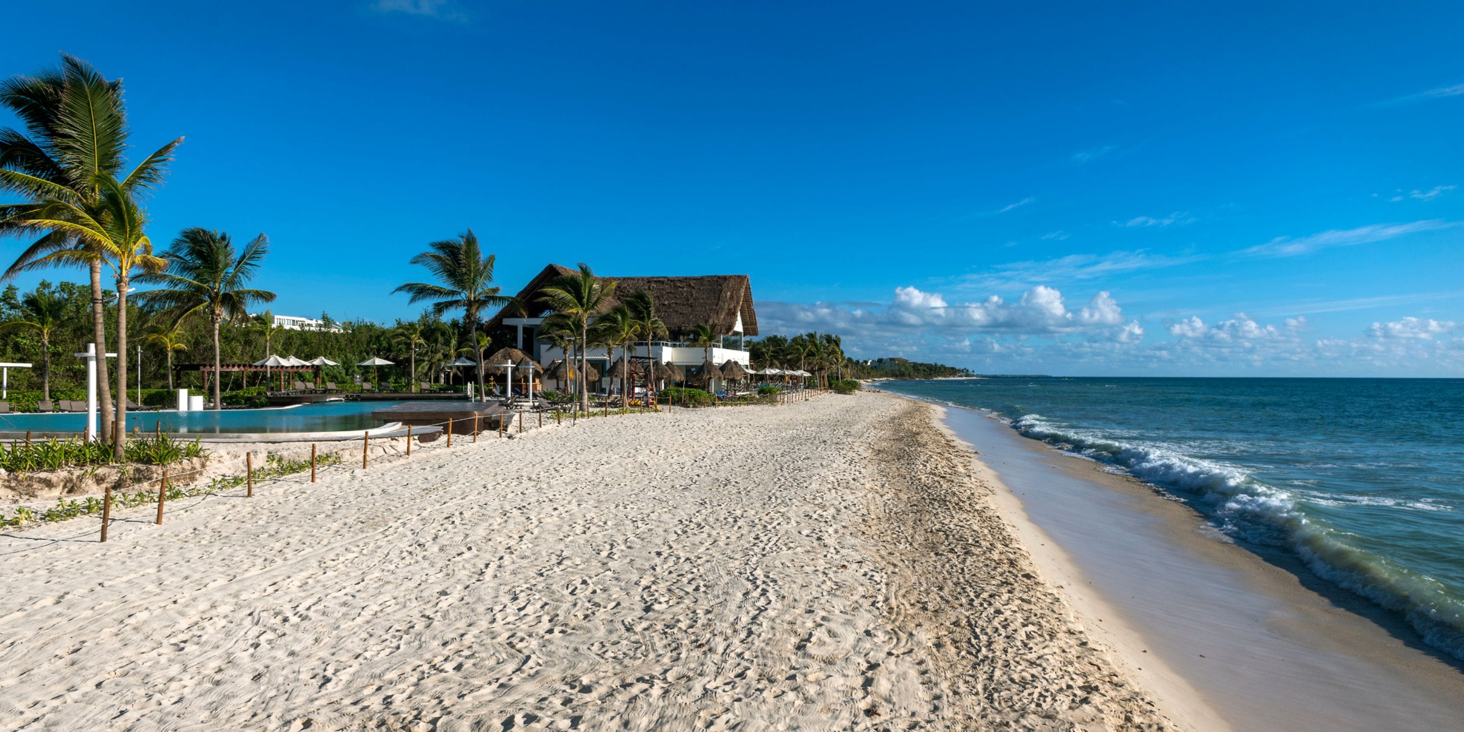 Ocean Riviera Paradise: sandy beach, palm trees, destination wedding resort, and calm ocean views.
