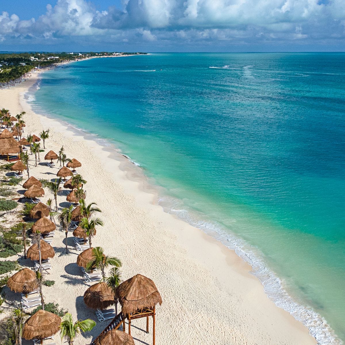 Aerial view of a tropical beach, perfect for a destination wedding, with thatched umbrellas and turquoise water.