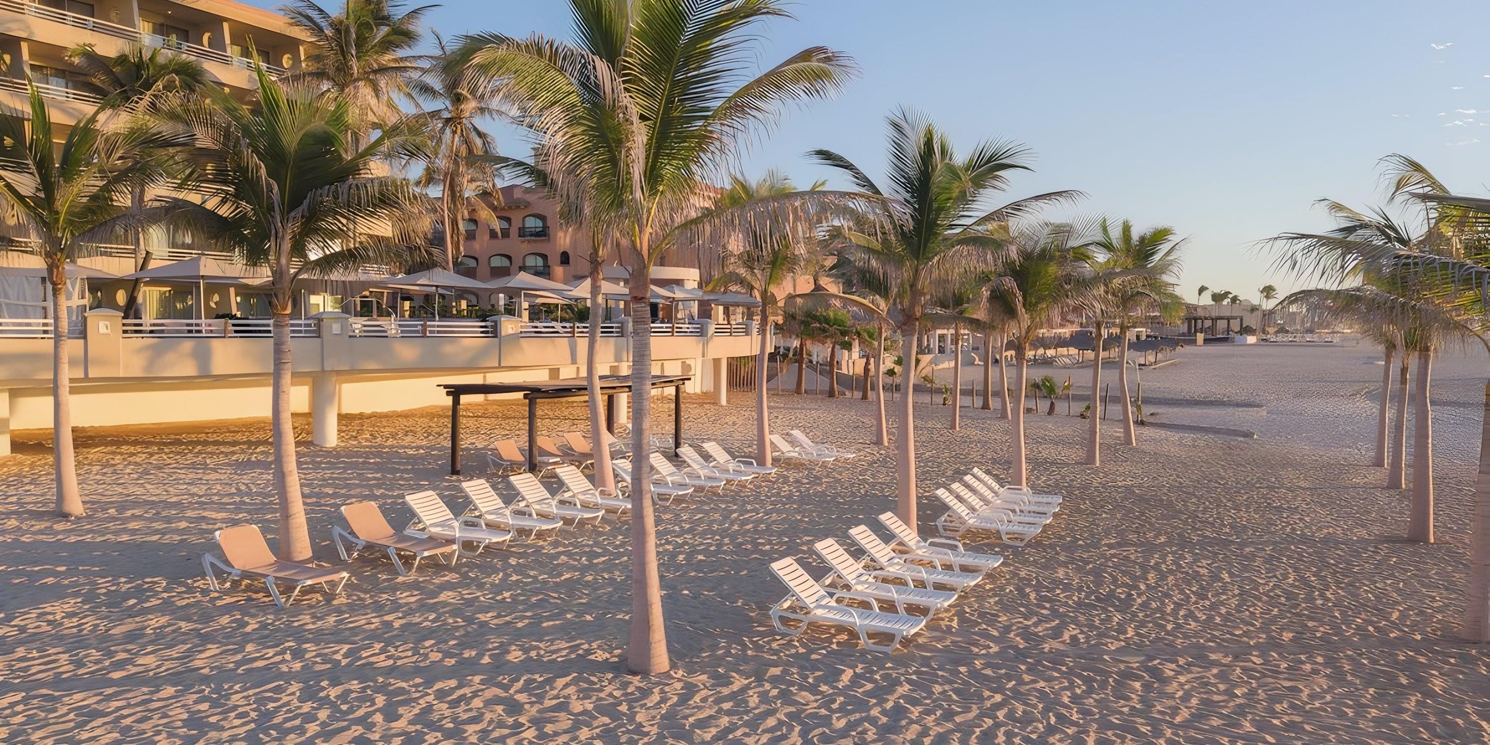 Empty lounge chairs and palm trees on the beach, a serene spot for a destination wedding at Barcel&oacute; Grand Faro Los Cabos resort.