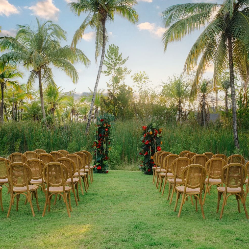 Wooden chairs line up for a destination wedding, facing a floral archway on a lawn with palm trees.
