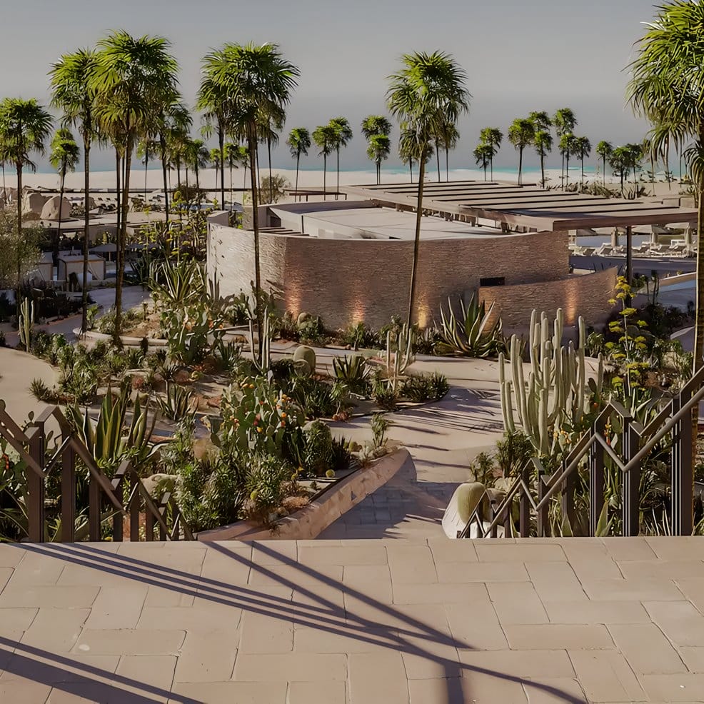 Desert destination wedding venue with palm trees, cacti, stone paths, and ocean in the background.